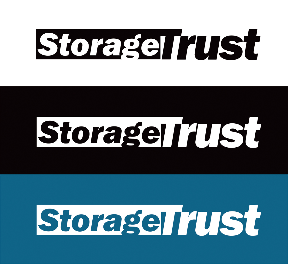 Logo Design by vicwired for StorageTrust | Design #12841845