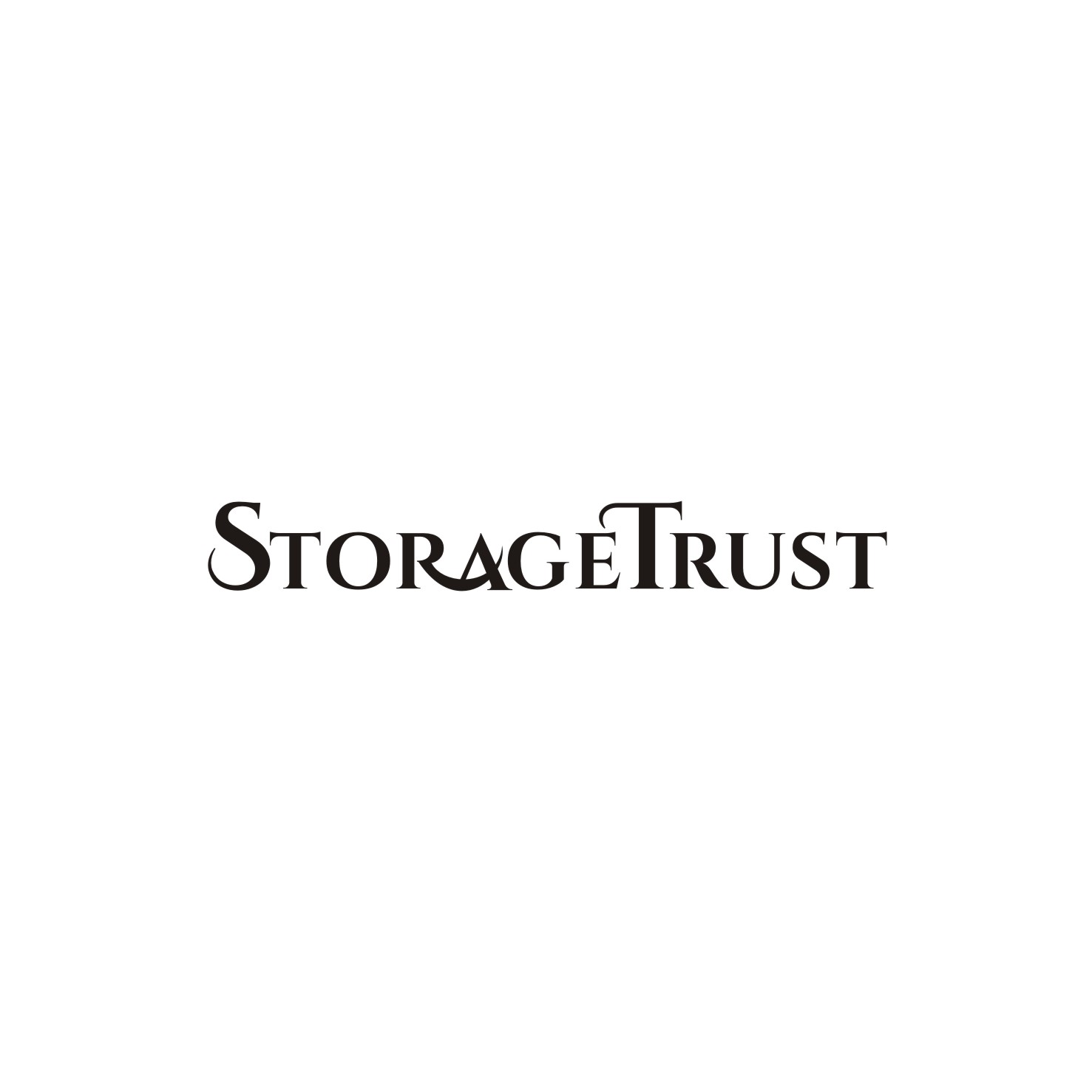 Logo-Design von Sushmaa für StorageTrust | Design #12778013