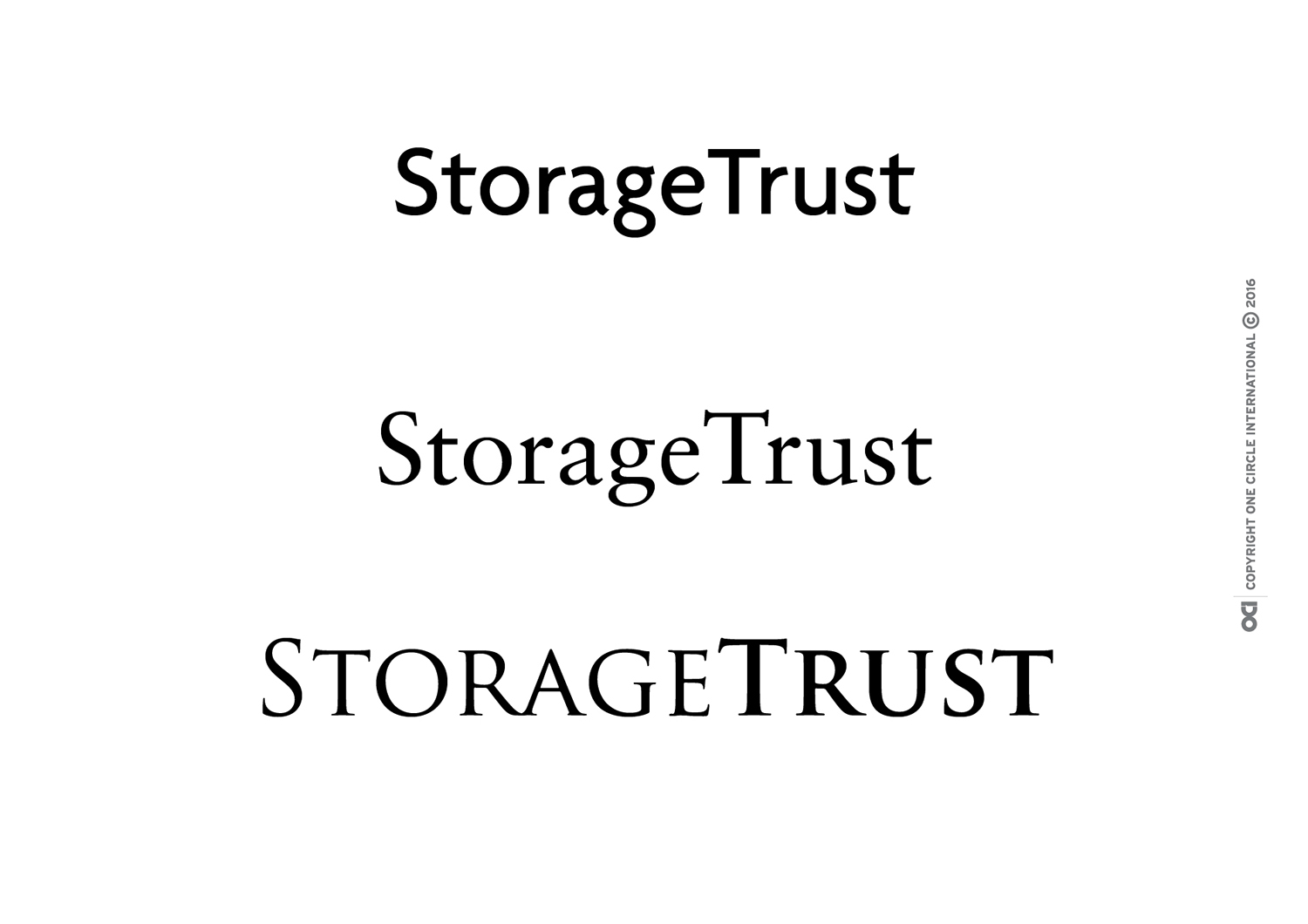 Logo Design by Amal Ma'ani for StorageTrust | Design #12774270