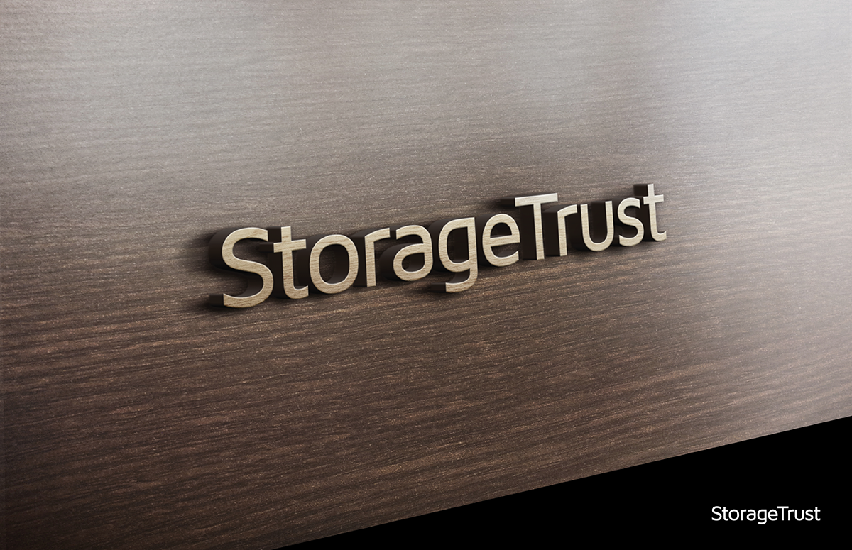 Logo Design by nzvm for StorageTrust | Design #12912169
