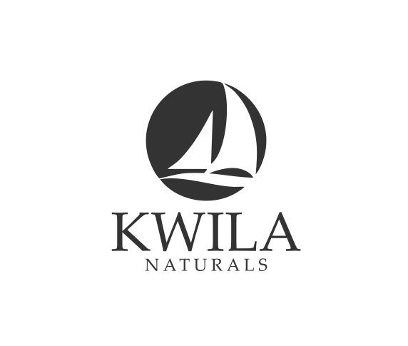 Diseño de Logo por ronyakiz para este proyecto | Diseño #12819786