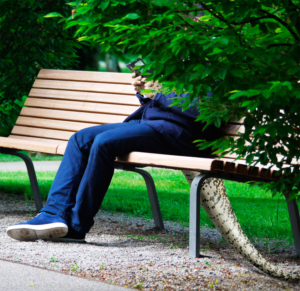 Photoshop Design by acjnas