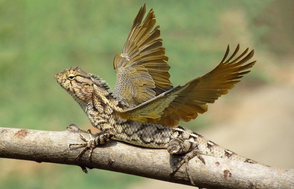 Diseño de Photoshop por LHicks2 para DesignCrowd (Community Contests) | Diseño #12864536