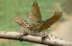 Photoshop Design by LHicks2