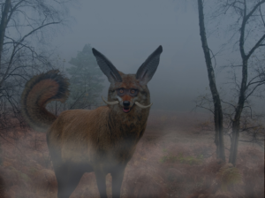 Photoshop Design by noestelrooij