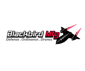 Logo Design by Jay Design