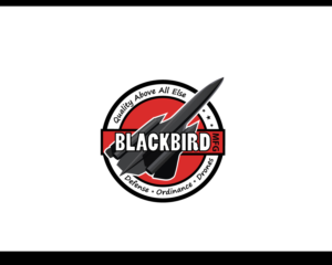 Logo Design by Aska Studio