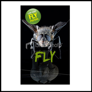 Diseño de Póster por Kiwi para este proyecto | Diseño: #526422