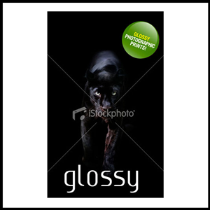 Diseño de Póster por Kiwi para este proyecto | Diseño: #526428