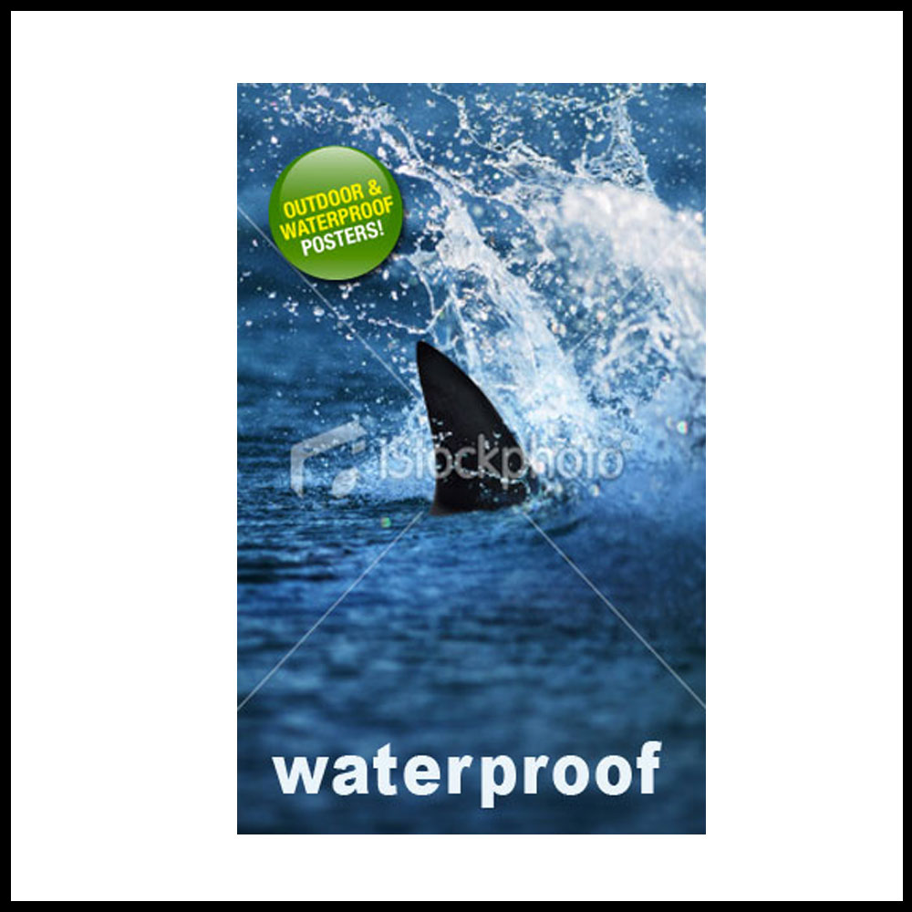 Diseño de Póster por Kiwi para este proyecto | Diseño #526458