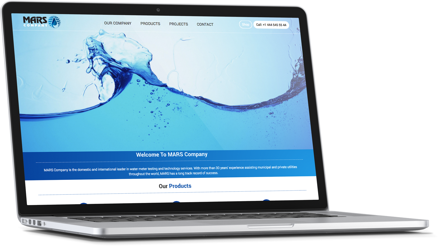 Wordpress Design by cCopilot for Daco Solutions Group | Design #12877371