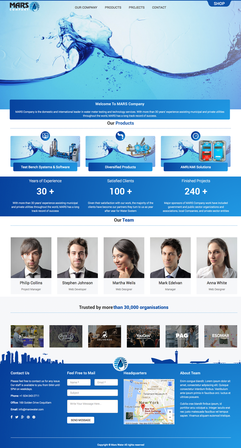 Wordpress Design by cCopilot for Daco Solutions Group | Design #12877427