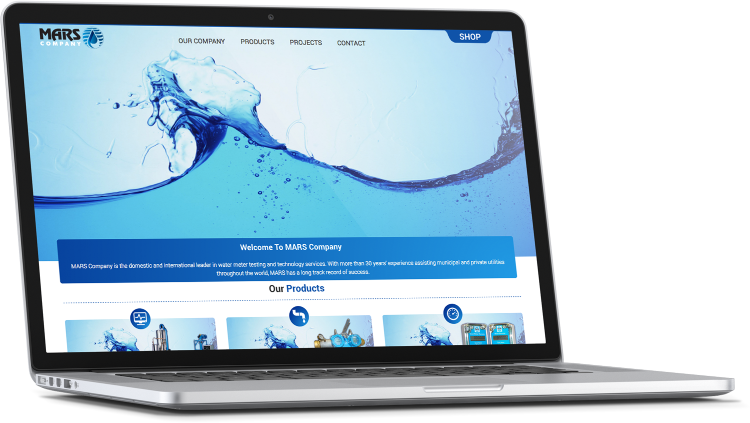 Wordpress Design by cCopilot for Daco Solutions Group | Design #12877428