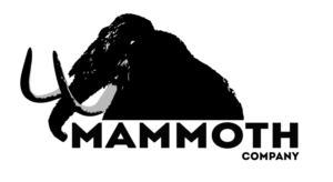 Logo Design by 2HHDavid