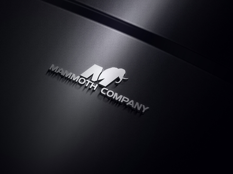 Logo Design by Mehedi Hasan ™ for Tech-Dry building Products | Design #12784541