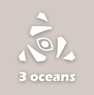 Logo Design by Dhruv Design Studio for 3 oceans property | Design: #12892478
