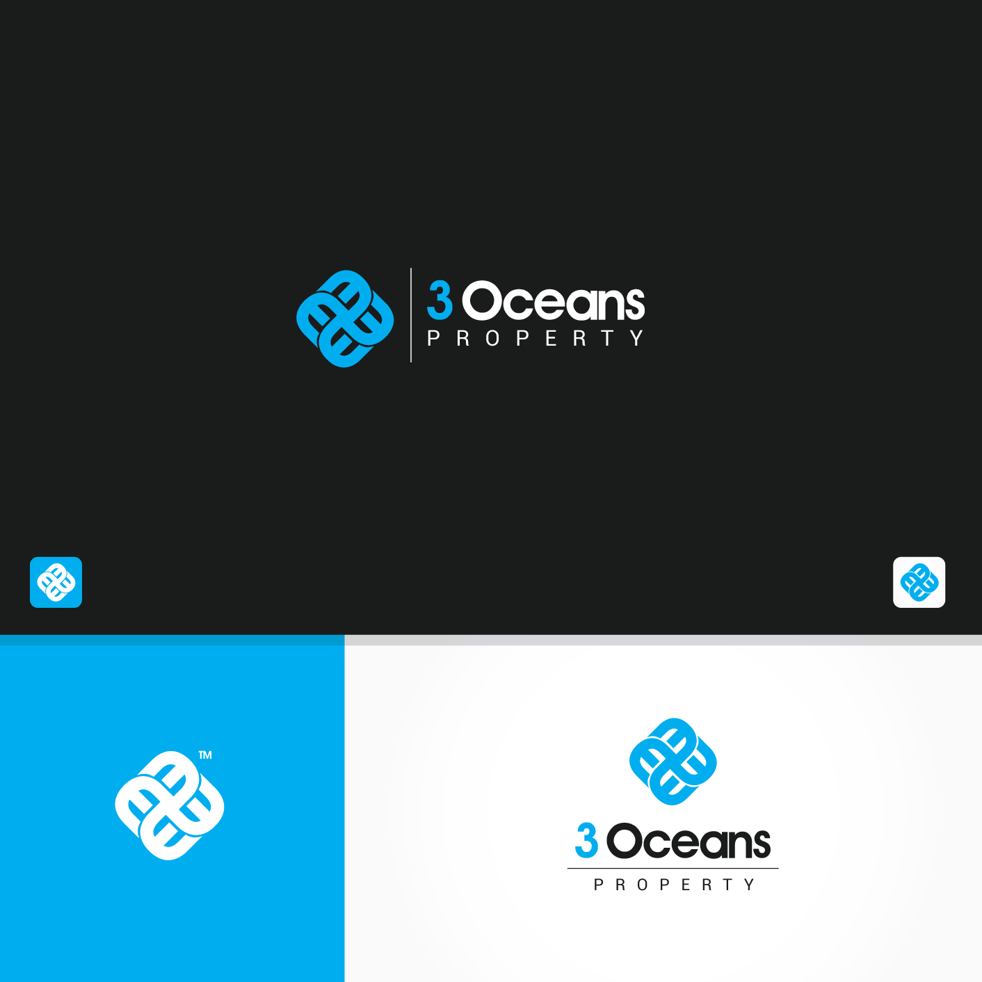 Design de Logo par Shigh5 pour 3 oceans property | Design #13043270