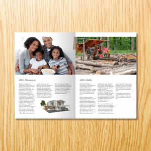 Diseño de Brochure por barinix para este proyecto | Diseño: #13225774