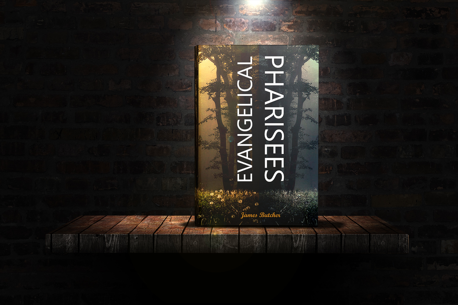 Buchumschlag Design von maree_dez für 1996 | Design #12864810