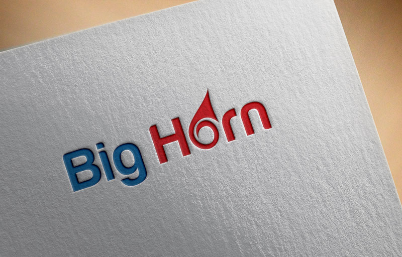 Logo-Design von designlogo007 für dieses Projekt | Design #12799040