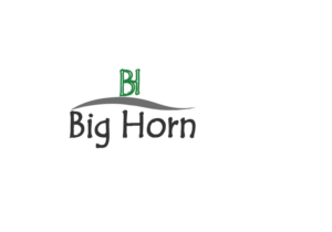 Logo Design by Shurid Designer