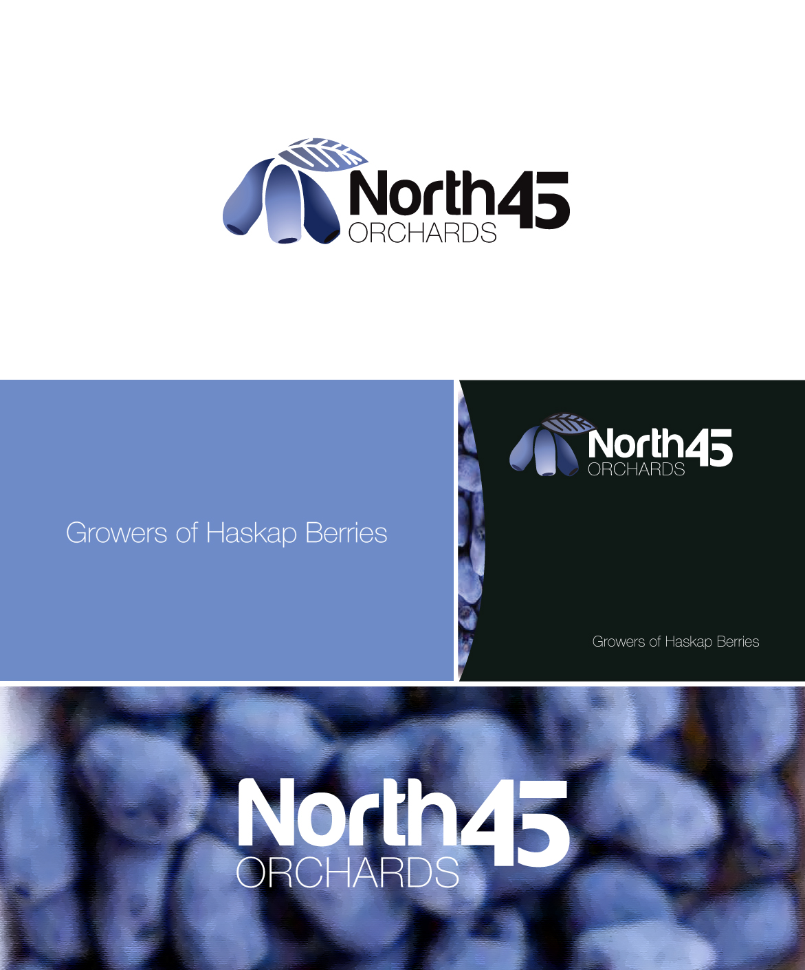 Logo Design by CanDoDesign for this project | Design #12805155