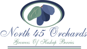 Logo Design by Toni