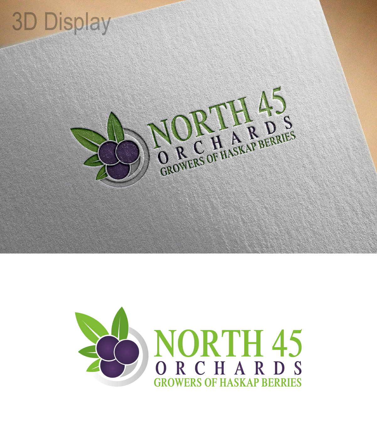 Logo Design by 3Guys for this project | Design #12809146