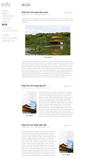 Design Wordpress par slokker pour ce projet | Design : #528758