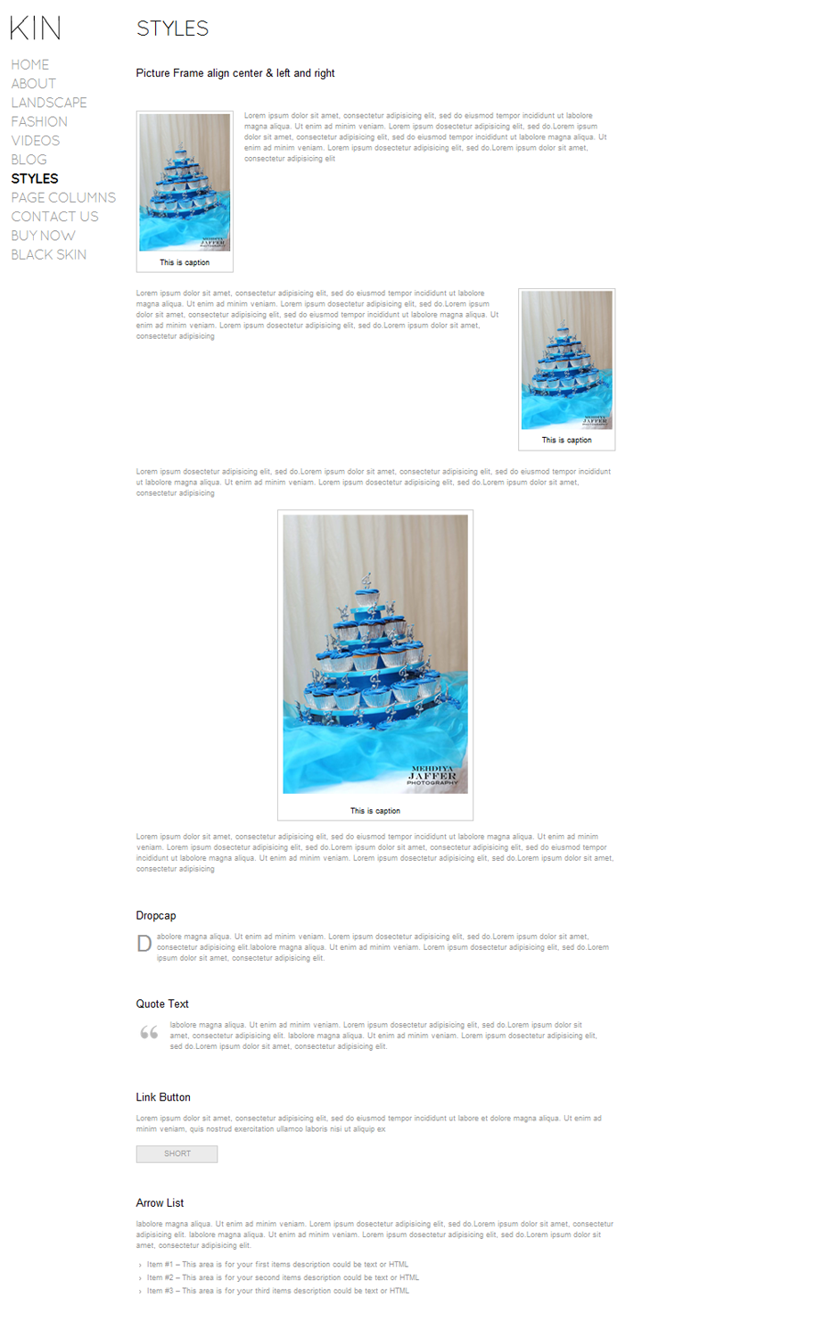 Diseño Wordpress por slokker para este proyecto | Diseño #528763
