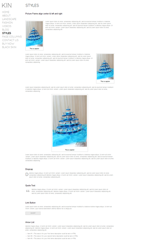 Design Wordpress par slokker pour ce projet | Design : #528763