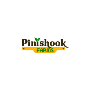 Logo Design by diezzer