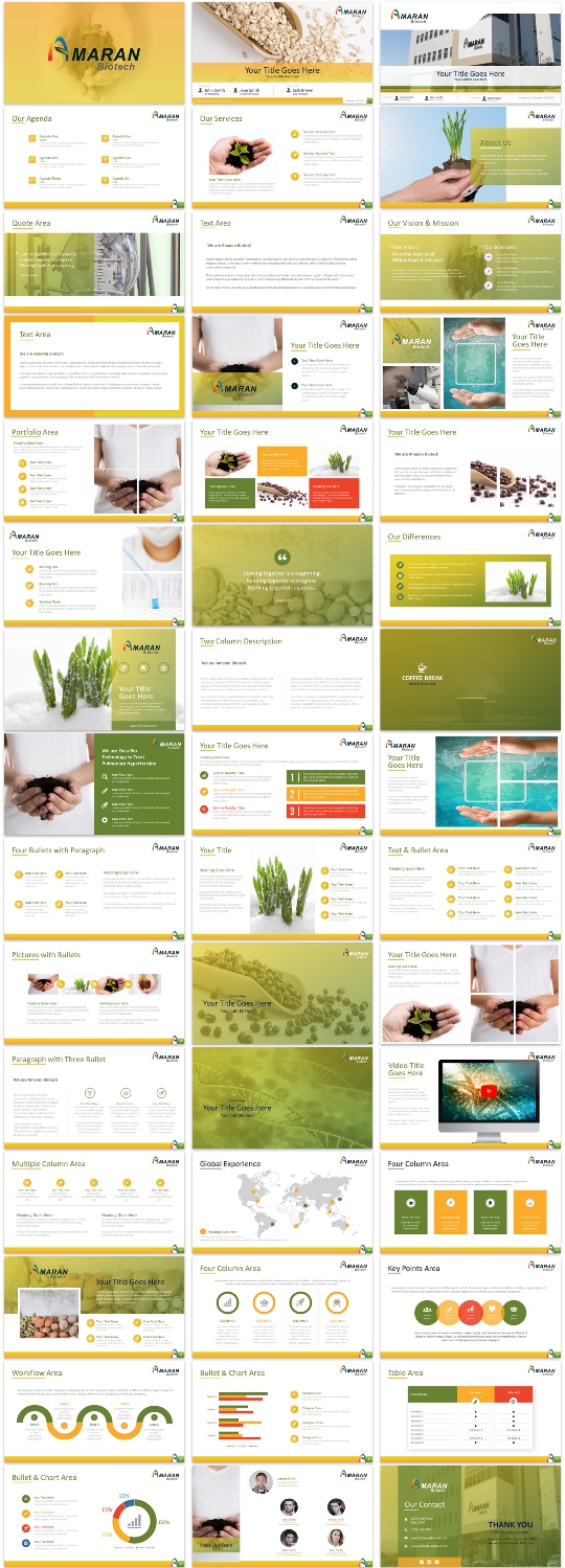 PowerPoint Design by Imazing for this project | Design #13098074