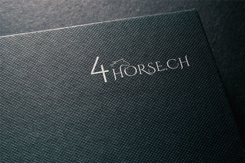 Logo Design by logout babu for this project | Design #13067303