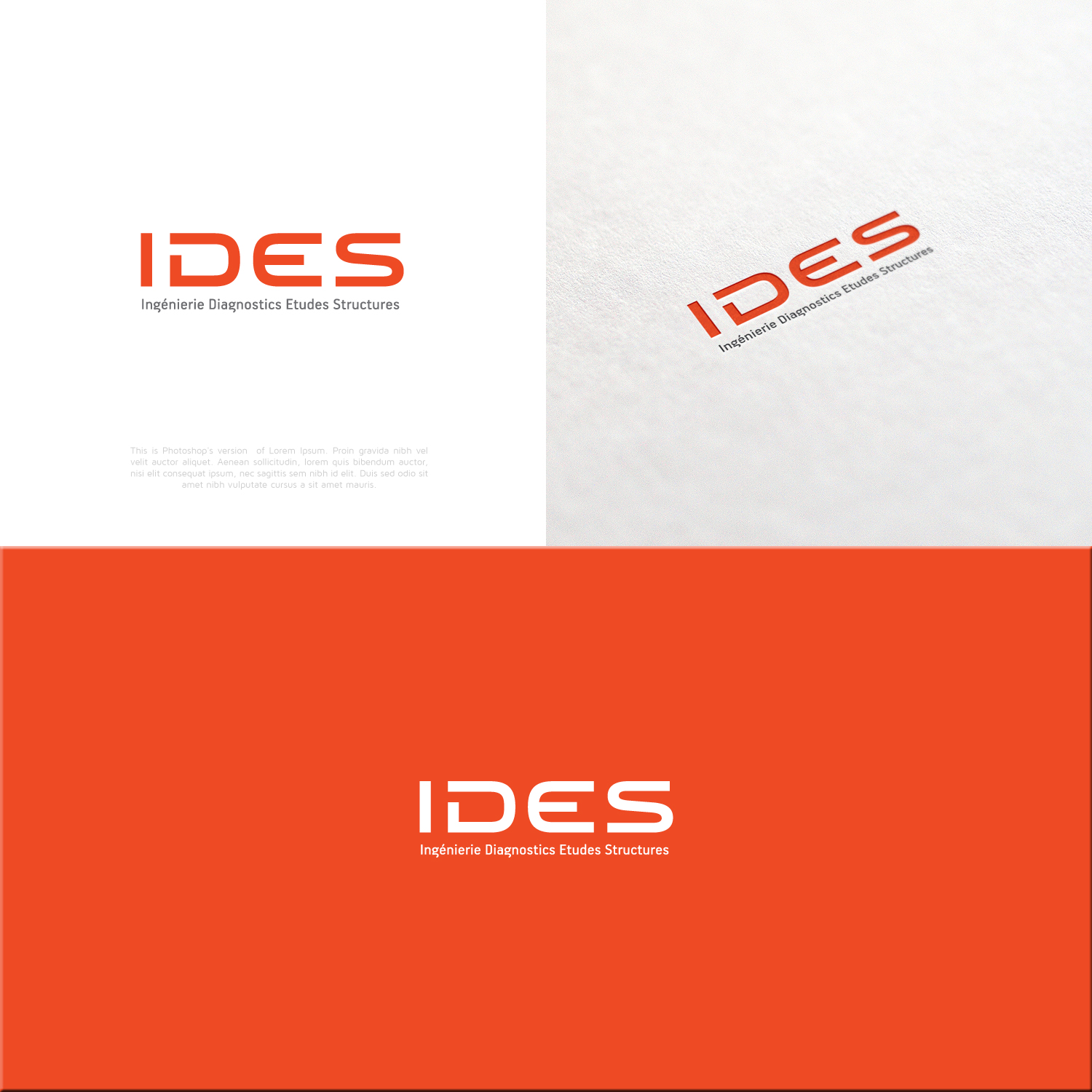 Diseño de Logo por lorixart para IDES | Diseño #12847809