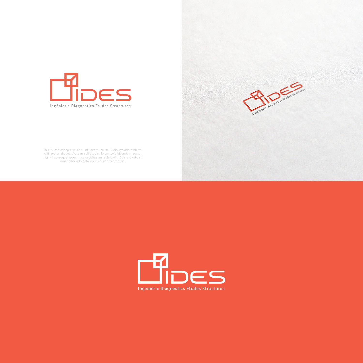 Diseño de Logo por lorixart para IDES | Diseño #12911800