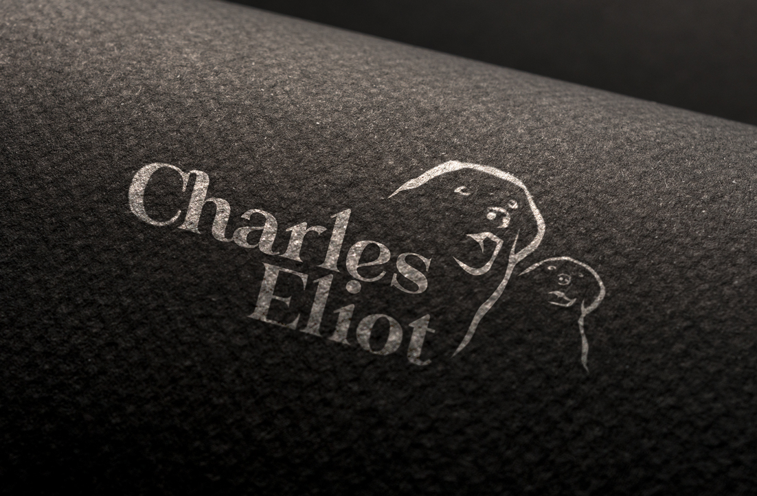 Logo Design by GLDesigns for this project | Design #12811914