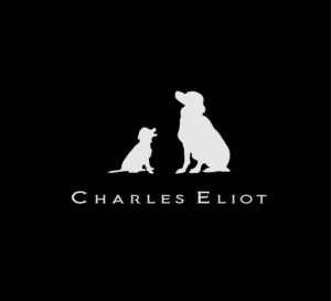 Logo Design by got2believe for this project | Design #12813689