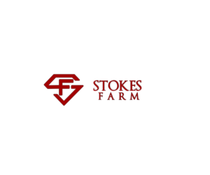 Logo Design by Tt design