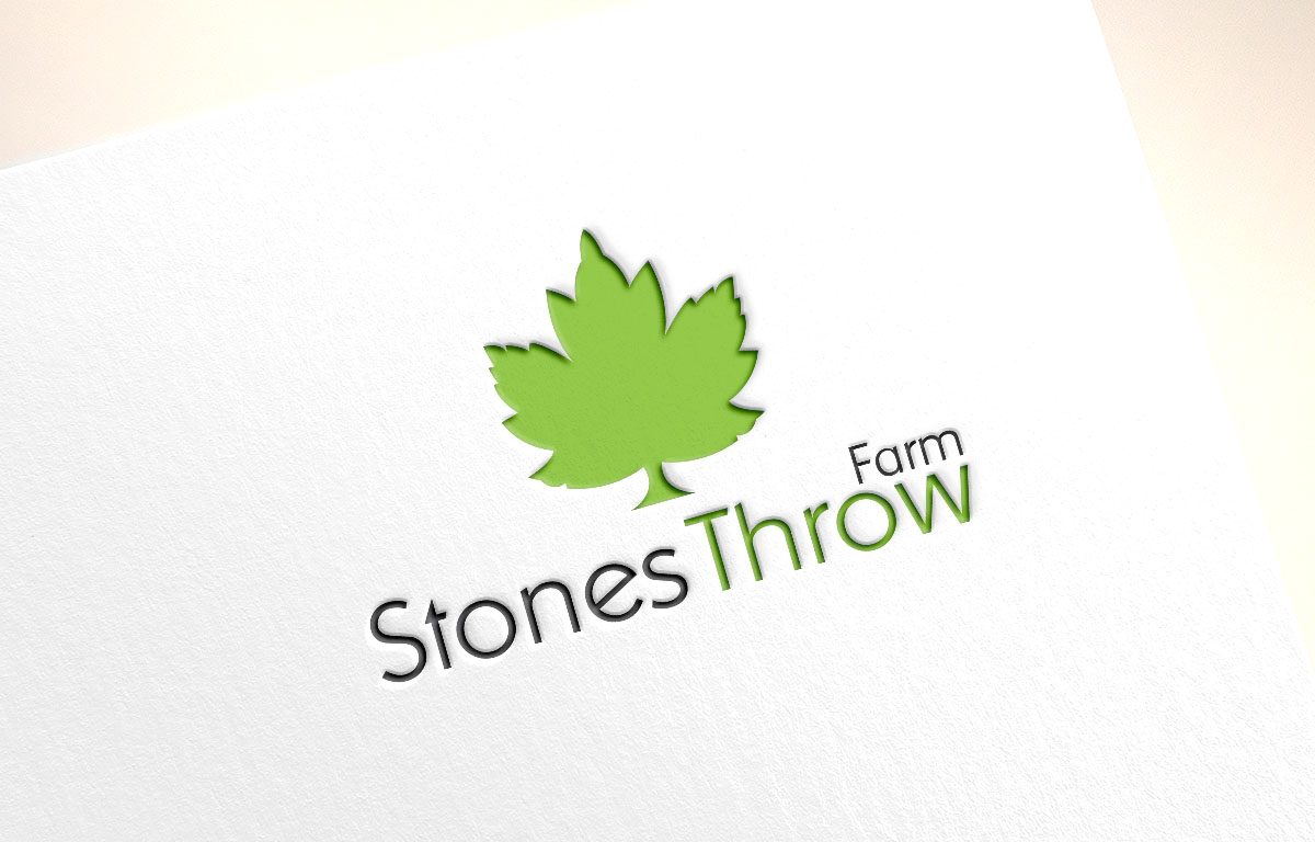 Logo Design by Turn Digital for Boardwalk Management Services Inc. | Design #12835875