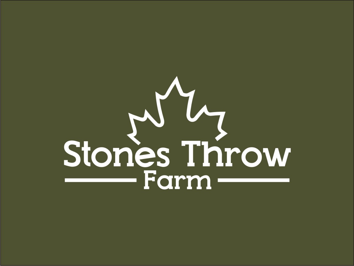 Logo Design by aRt-n-ideas for Boardwalk Management Services Inc. | Design #12916284