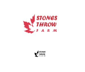 Logo Design by MorTDa
