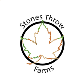 Logo Design by thejoyluckclub1