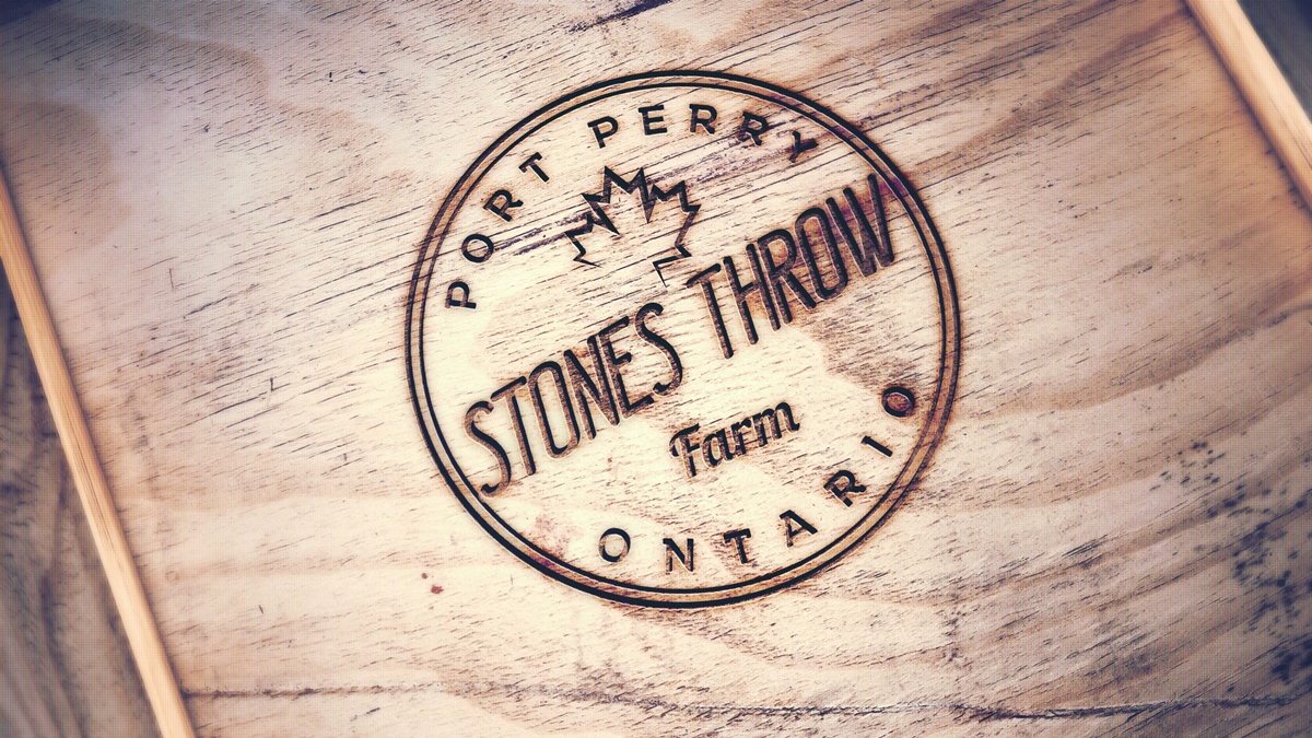 Logo Design by mldtrvs for Boardwalk Management Services Inc. | Design #12865043