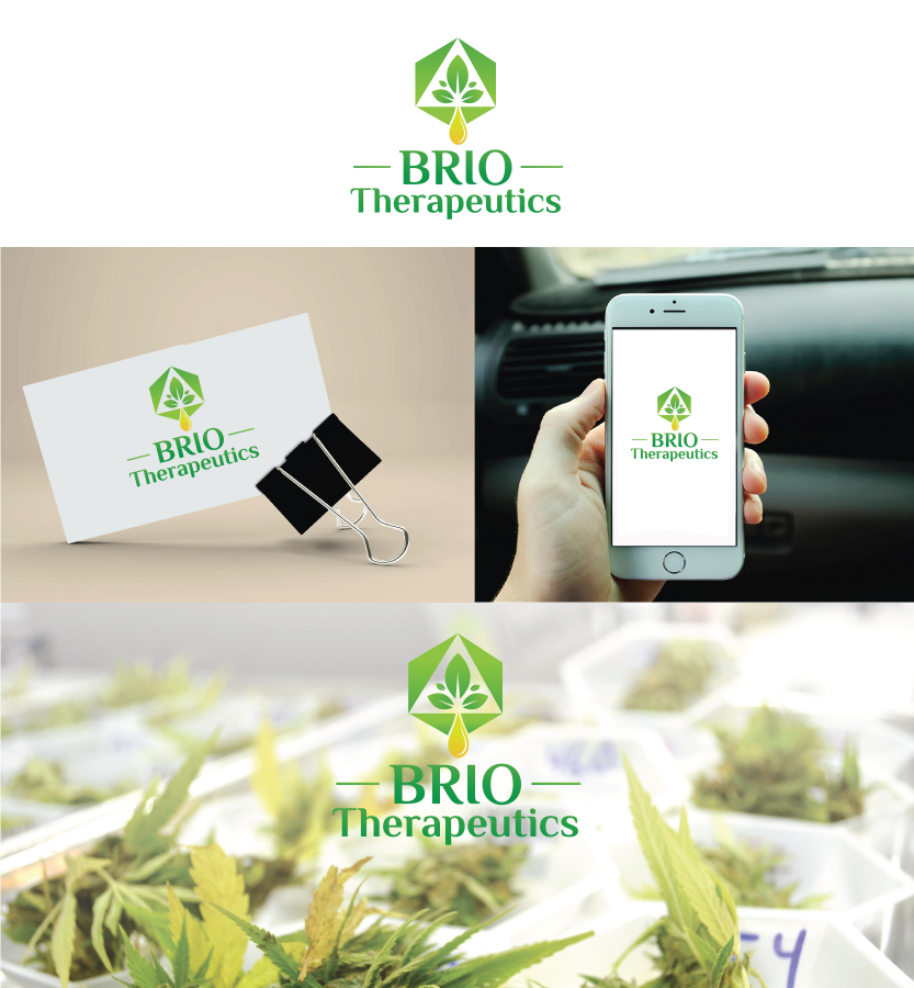 Logo Design by Arpigraphy for Brio Therapeutics | Design #12916805