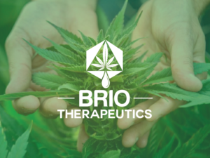Logo Design by Arpigraphy for Brio Therapeutics | Design: #12939195