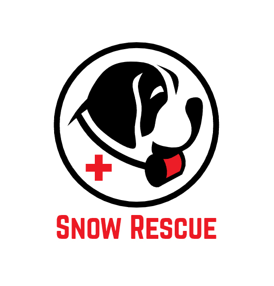 Icon Design by Tetyana Mykhaylyshyna for this project | Design #12886397
