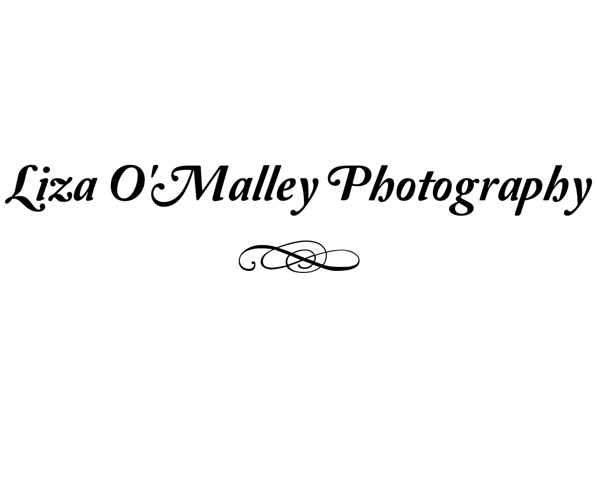 Logo Design by PieterStaaks for this project | Design #2434206