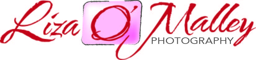 Logo Design by  LBZ for this project | Design #2452598