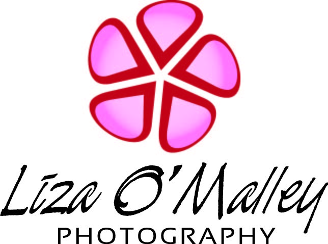 Logo Design by  LBZ for this project | Design #2452600